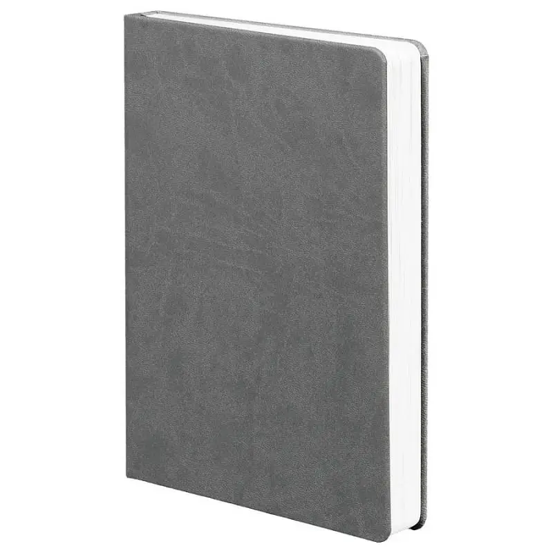 Ежедневник Basis, датированный, 15х21х2,3 см