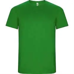 Спортивная футболка IMOLA мужская