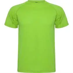 Спортивная футболка MONTECARLO мужская