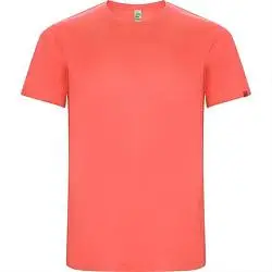 Спортивная футболка IMOLA мужская