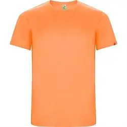 Спортивная футболка IMOLA мужская