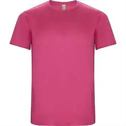 Спортивная футболка IMOLA мужская