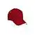 krasnyy_lotos