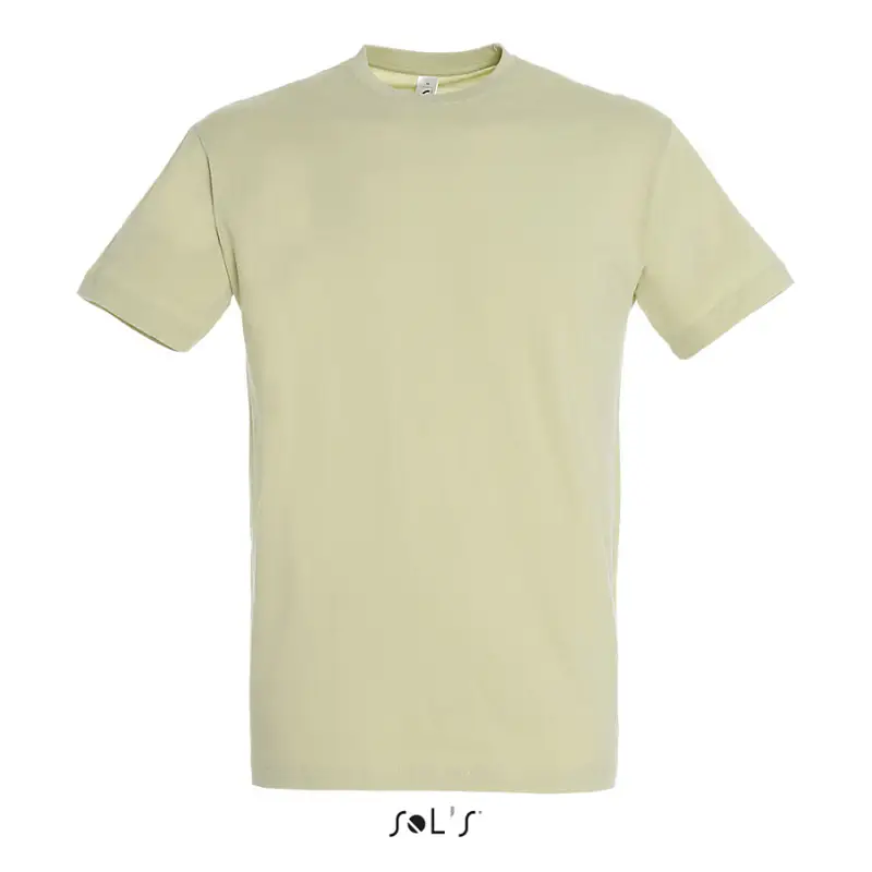 Фуфайка (футболка) REGENT мужская,Зеленый шалфей XXL - 11380.273/XXL