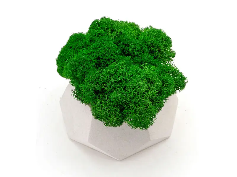 Показать дополнительное фото 2