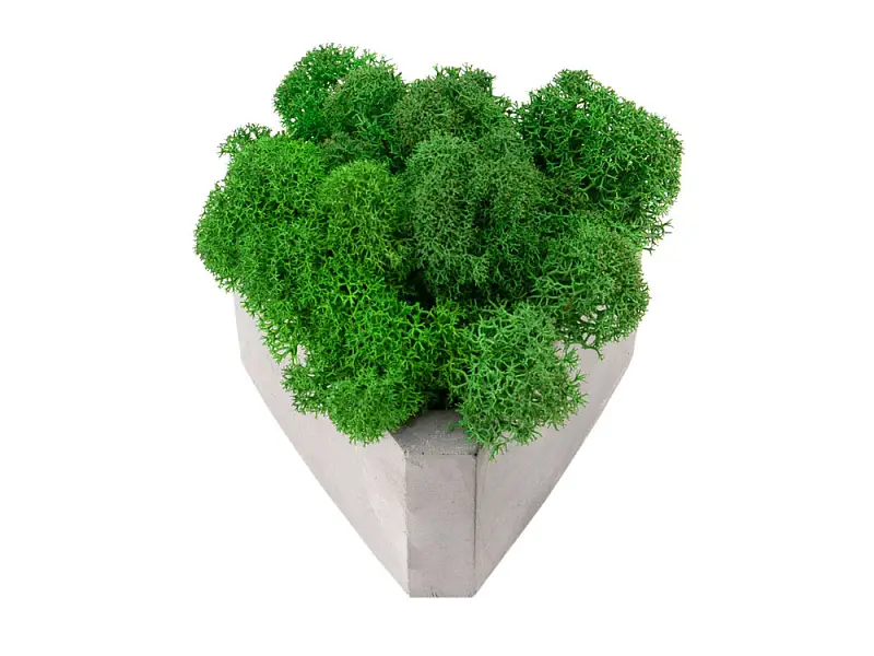 Показать дополнительное фото 3