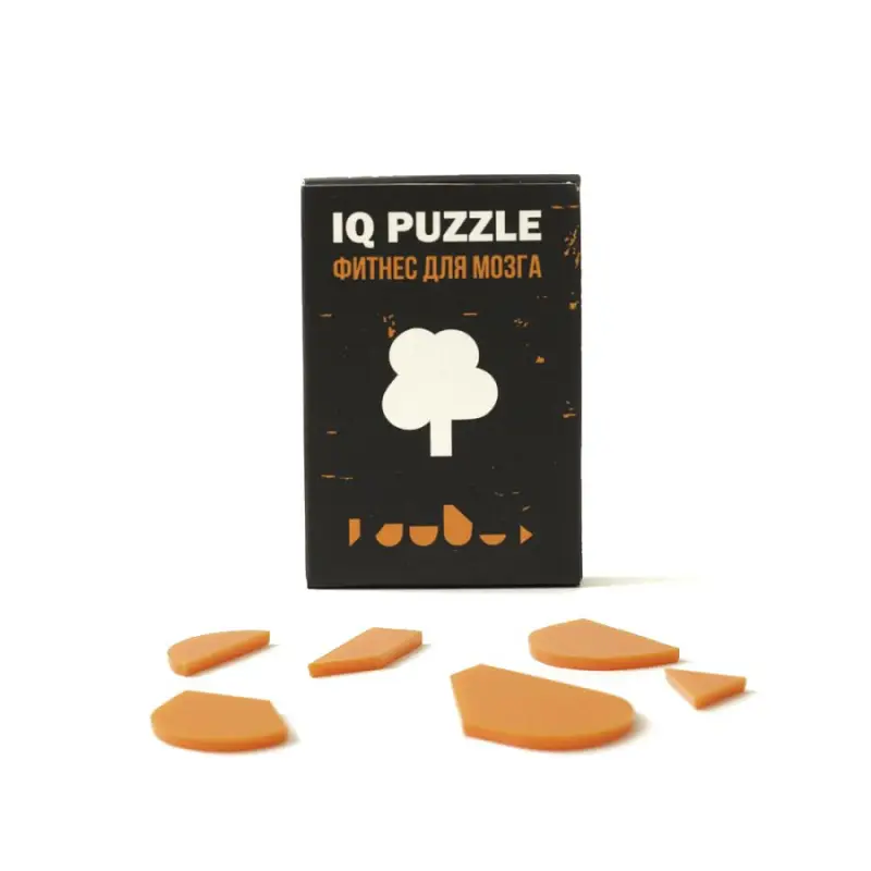 Головоломка IQ Puzzle, 6х9х1,5 см