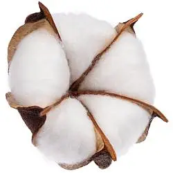 Цветок хлопка Cotton, в упаковке: 6,5х5,5х6 см