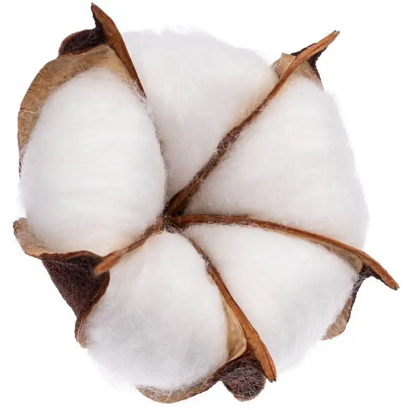 Цветок хлопка Cotton, в упаковке: 6,5х5,5х6 см